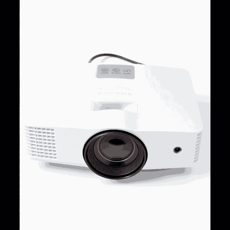 Projector